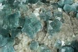Cubic, Blue-Green Fluorite Crystals on Druzy Quartz - Fluorescent #185469-3